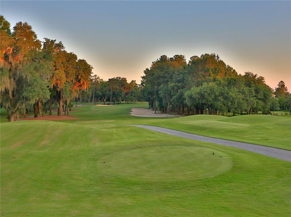 0 Northwest 31st Lane Road Ocala, FL 34482 - Photo 6 of 8 Community Golf Course