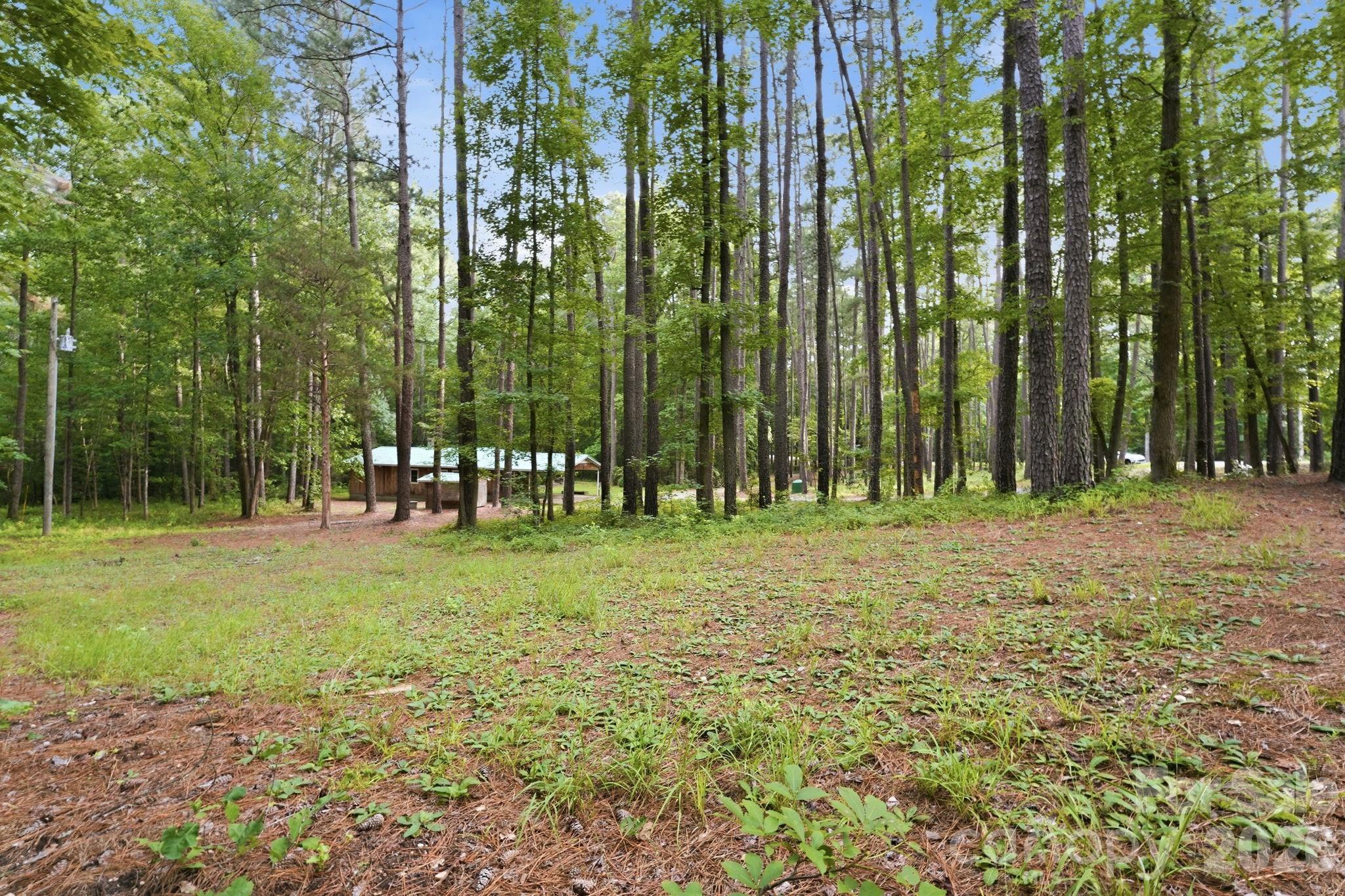 1083 Murdocksville Road Carthage, NC 28327 - Photo 42 of 47 Gallery Image 42