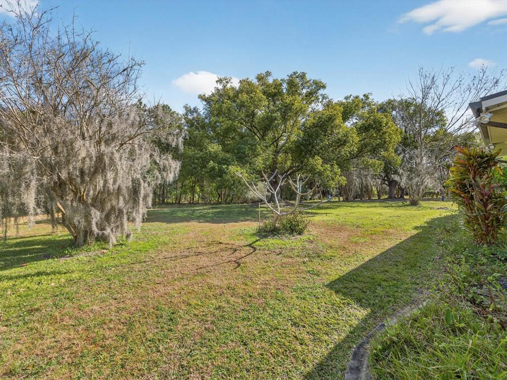 11321 Scenic View Lane Orlando, FL 32821 - Photo 21 of 29 a view of a yard with a tree