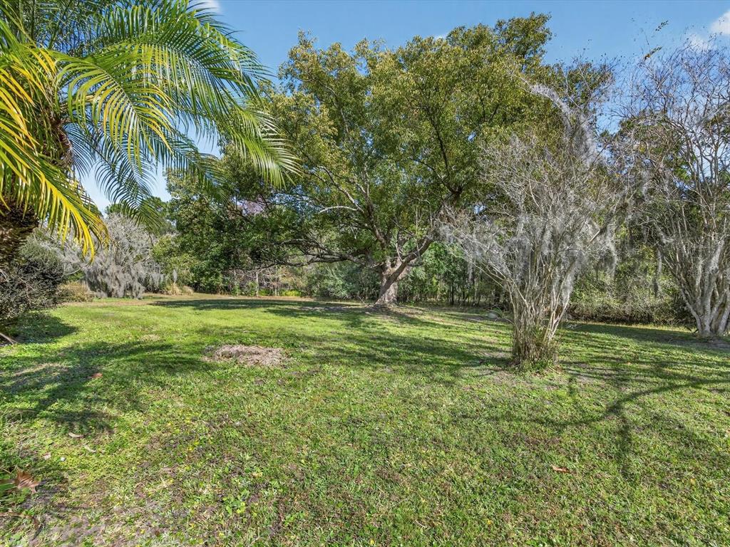 11321 Scenic View Lane Orlando, FL 32821 - Photo 22 of 29 a view of backyard with green space