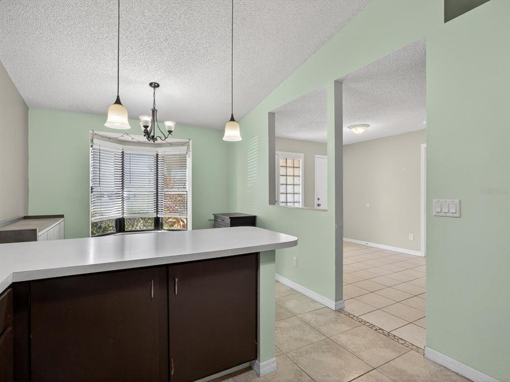 11321 Scenic View Lane Orlando, FL 32821 - Photo 9 of 29 a dining hall with granite countertop a sink dishwasher a stove and a refrigerator