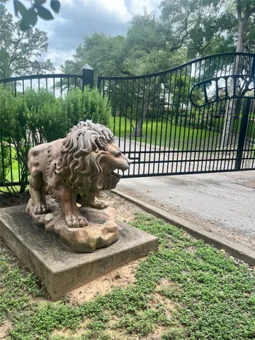 a view of a backyard with a tub and trees