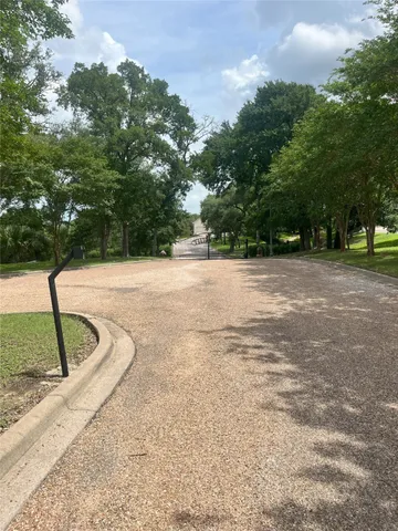 a view of a park with large trees