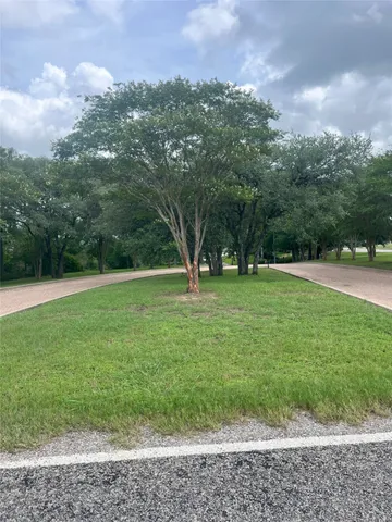 a view of a park with large trees
