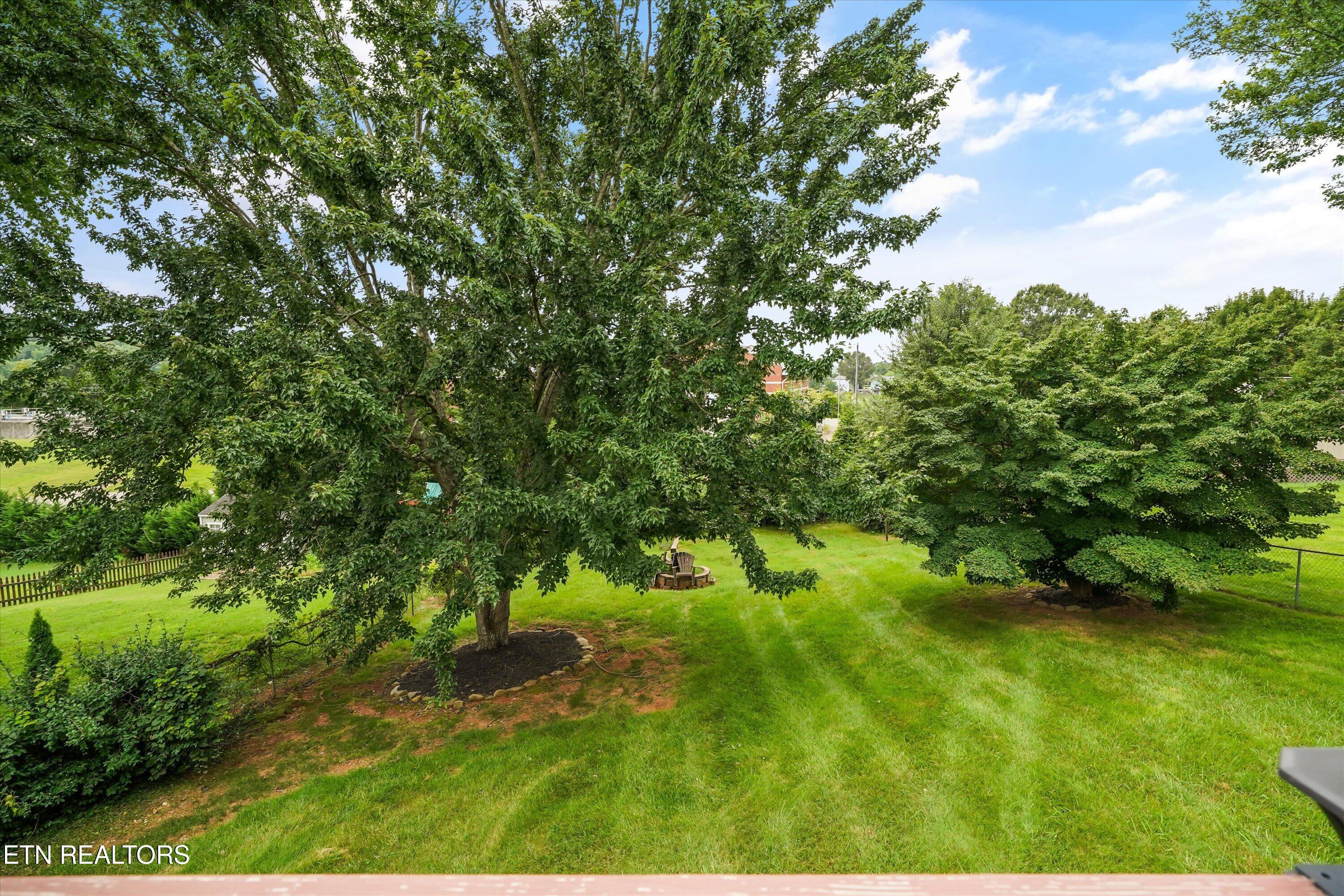 925 Tree Trunk Road Knoxville, TN 37934 - Photo 43 of 52 43-925 Tree Trunk Rd 020