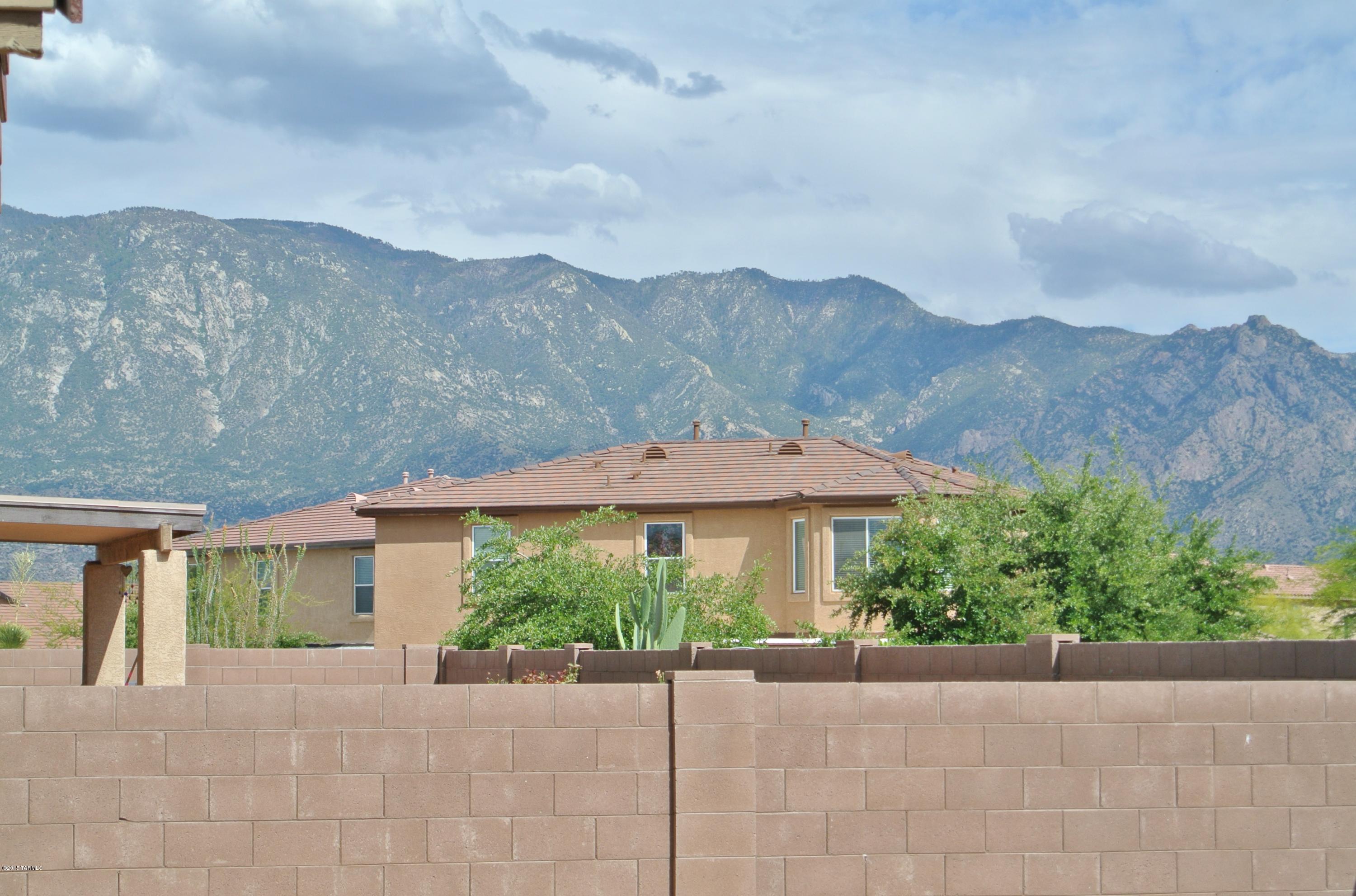 3688 East Mecate Road Tucson, AZ 85739 - Photo 18 of 19
