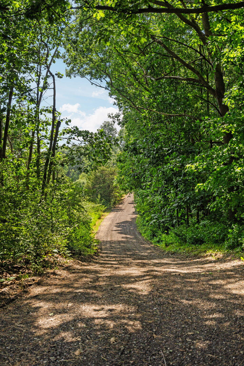 10663 Hall Road Whitmore Lake, MI 48189 - Photo 13 of 69 82-web-or-mls-DSC01885