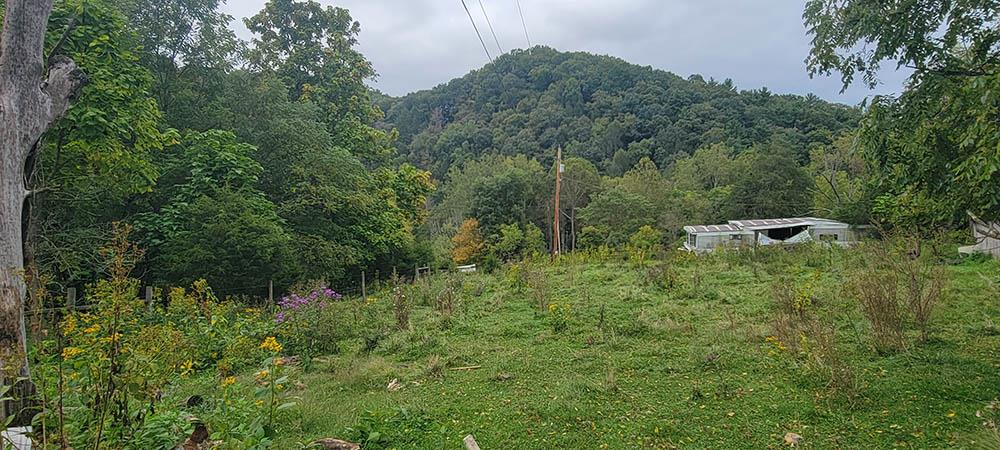 16432 South Fork River Road, Unit TRACTS 123 Glade Spring, VA 24340 - Photo 27 of 40 Gallery Image 27