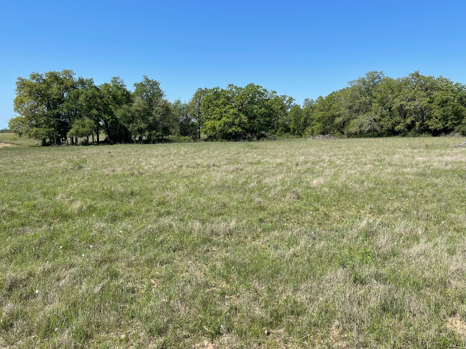 a view of a field with plants