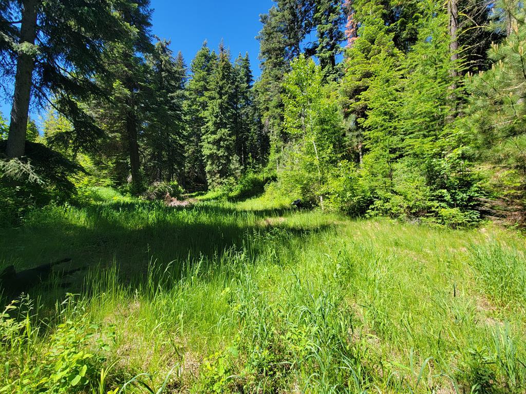671 West Mountain Road Cascade, ID 83611 - Photo 2 of 16 11.44 ACRES