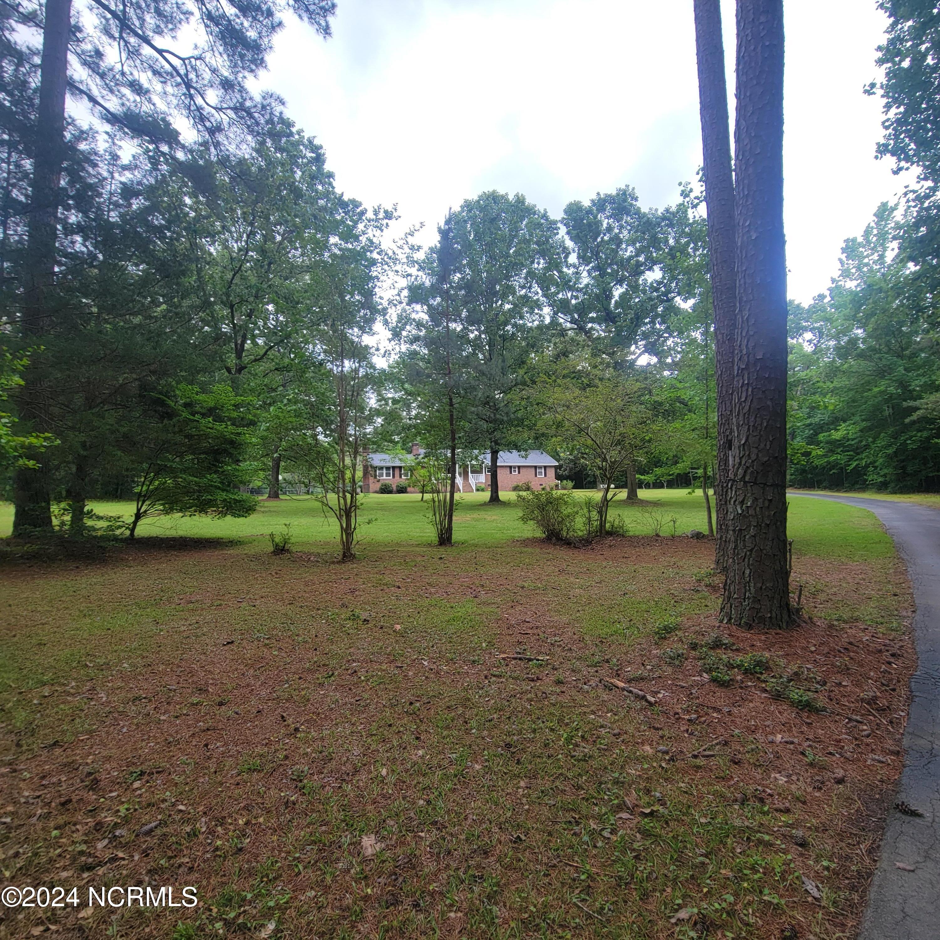 6081 Hoyt Road Middlesex, NC 27557 - Photo 4 of 59 Peaking.Through