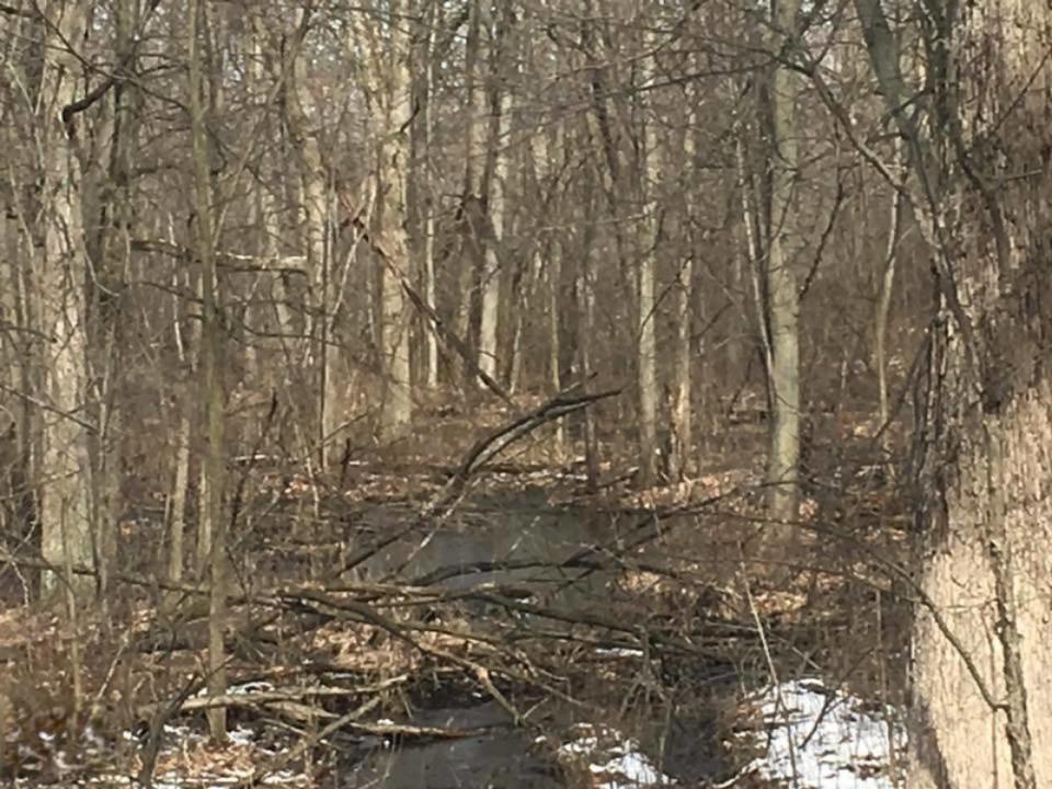 V/l Napoleon Road Jackson, MI 49261 - Photo 5 of 15