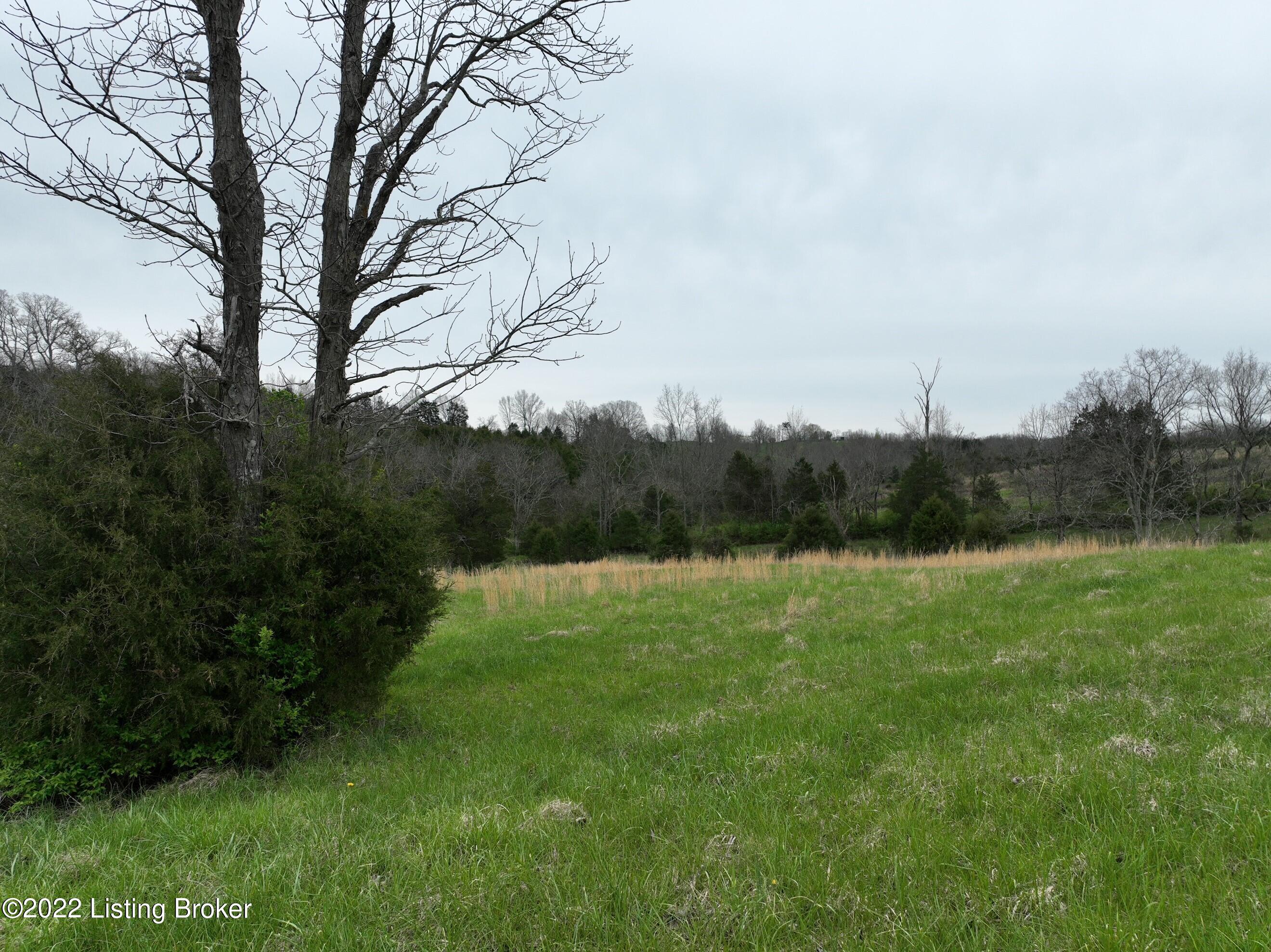 820 Hickory Ridge Road Waddy, KY 40076 - Photo 40 of 60 HRR back aerial 5