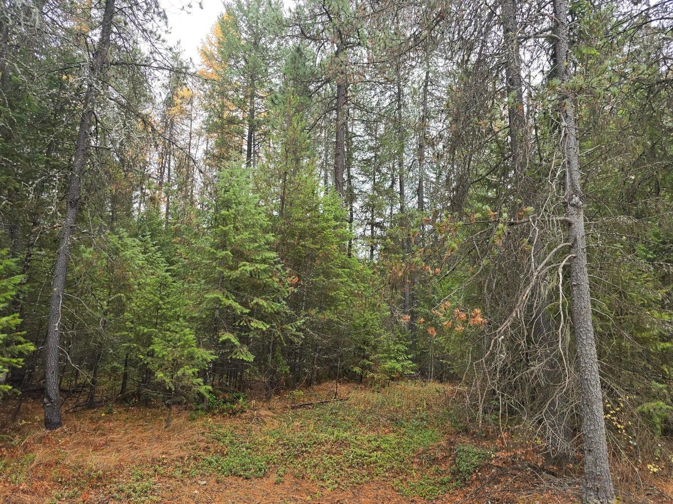 Xxx Middle Basin Road Colville, WA 99114 - Photo 4 of 10