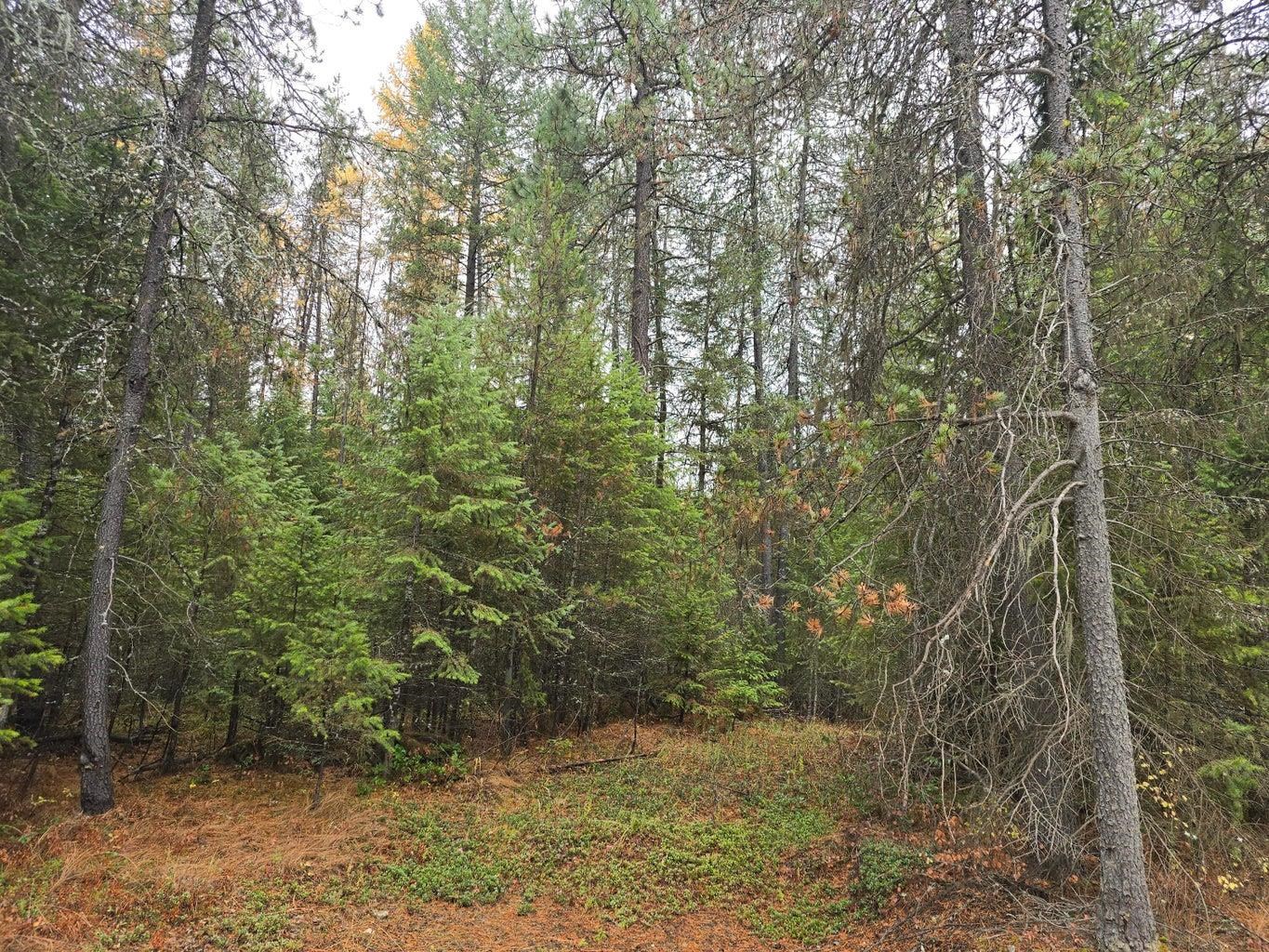 Xxx Middle Basin Road Colville, WA 99114 - Photo 5 of 10