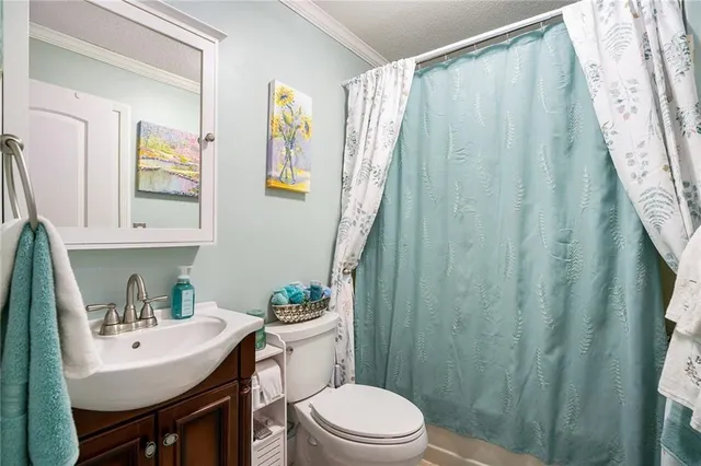 a bathroom with a sink a toilet and shower curtain