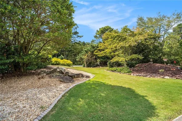 a view of a yard with a tree