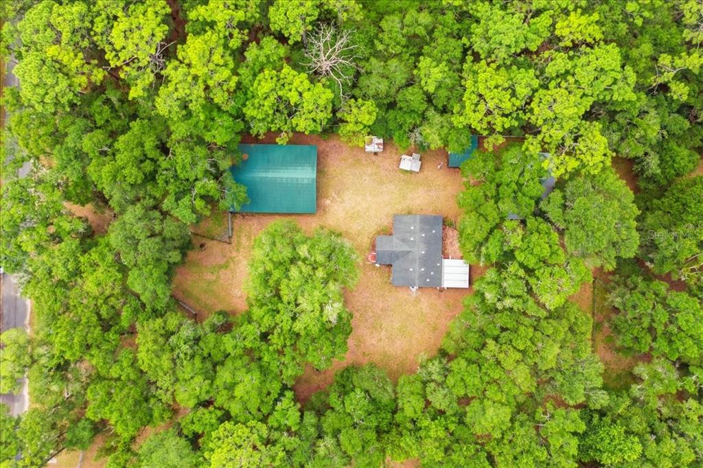 9986 South Forestline Avenue Inverness, FL 34452 - Photo 27 of 32
