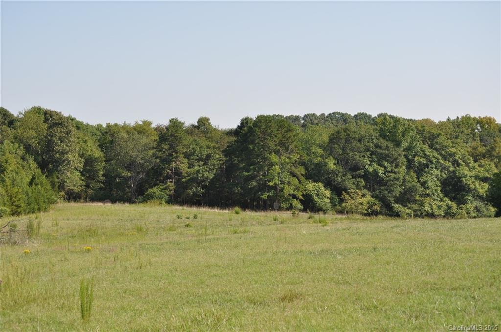 2058 Beamguard Road Clover, SC 29710 - Photo 11 of 16 a view of a yard