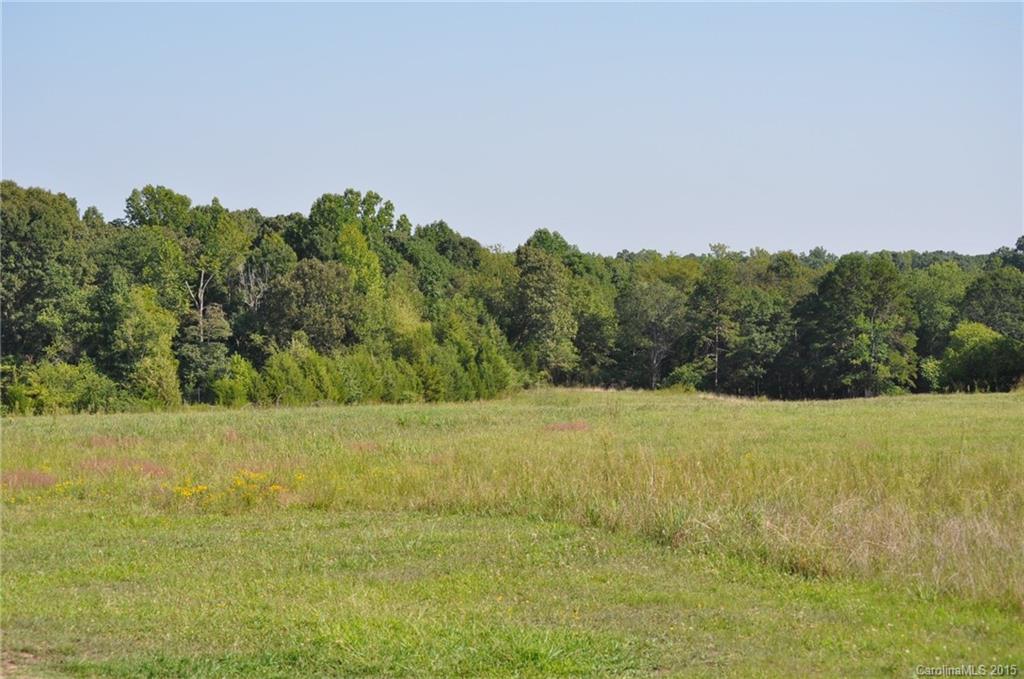 2058 Beamguard Road Clover, SC 29710 - Photo 9 of 16 a view of a field with trees in background