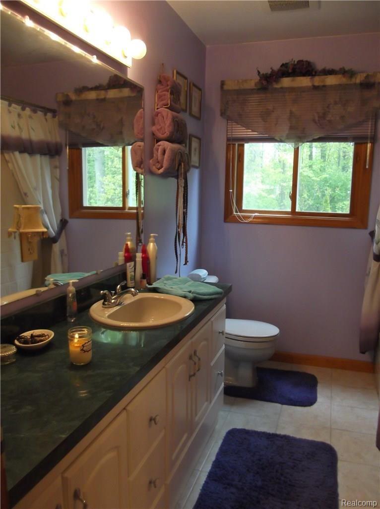 21035 Haggerty Road Belleville, MI 48111 - Photo 9 of 16 21035 Haggerty master bath.JPG