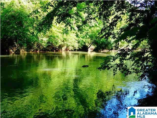 0 Riverview Drive, Unit 116 Cleveland, AL 35049 - Photo 20 of 30