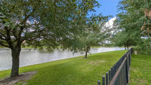 a view of a trees with a yard