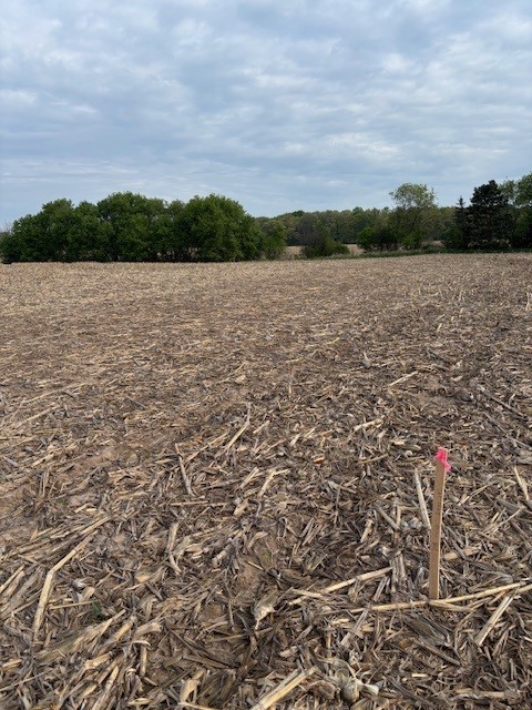 Lot 11 Mitchell Road Eau Claire, WI 54701 - Photo 2 of 3