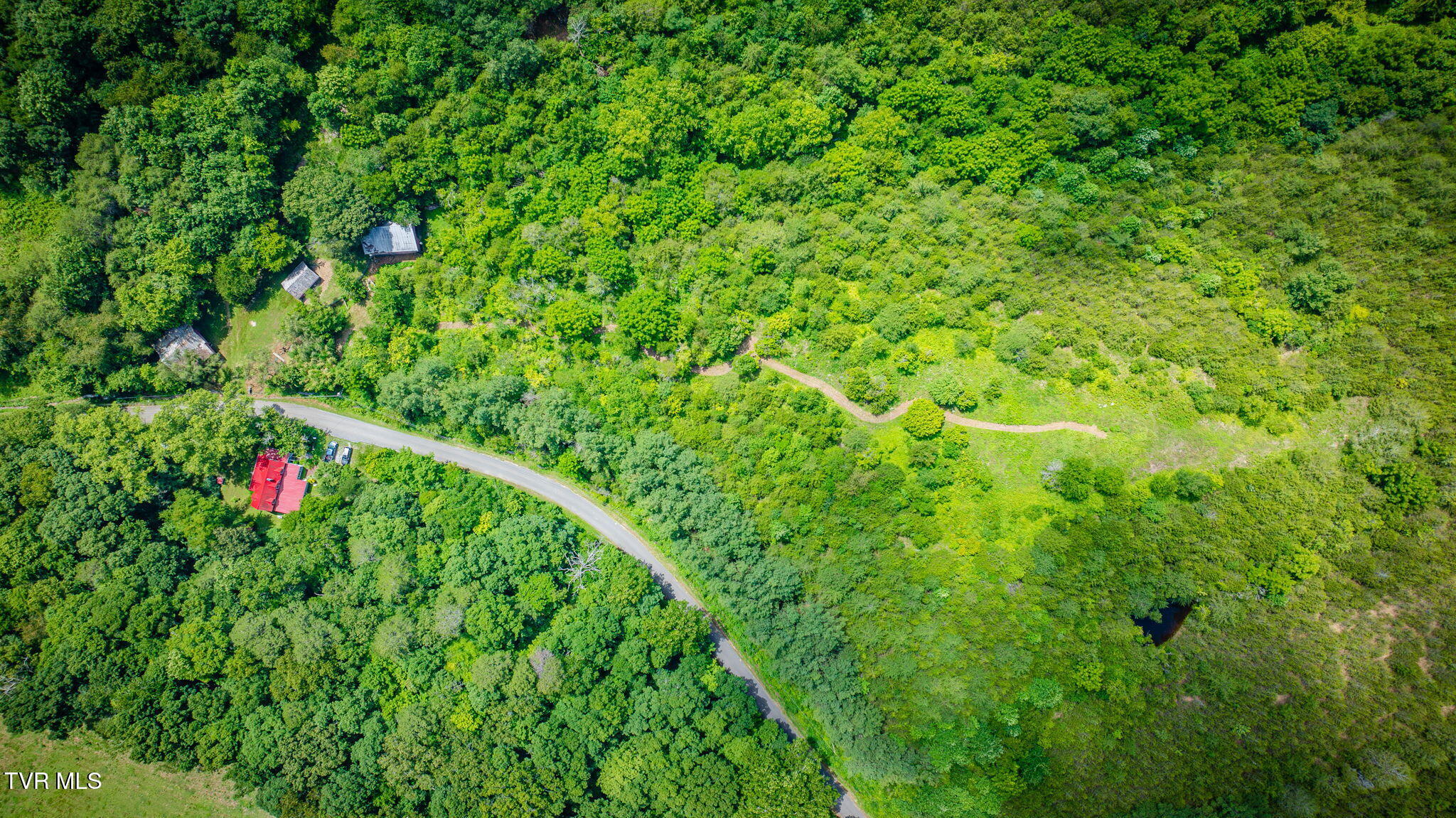 1355 Jackson Hollow Road Mosheim, TN 37818 - Photo 50 of 95 115