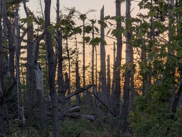 $69,000 | 9.58-acres On Peterson Hill Road, Bayfield, WI 54814