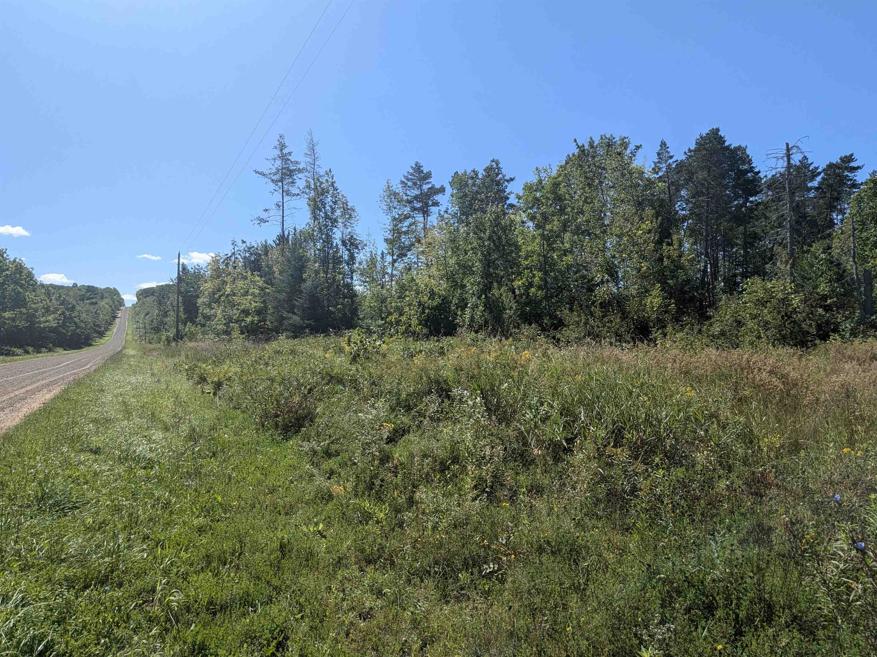 9.58-acres On Peterson Hill Road Bayfield, WI 54814 - Photo 3 of 7 View of nature