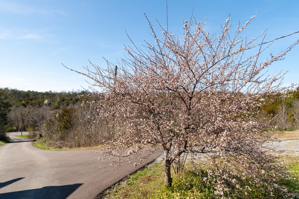 435 Fain Road Sevierville, TN 37876 - Photo 37 of 44