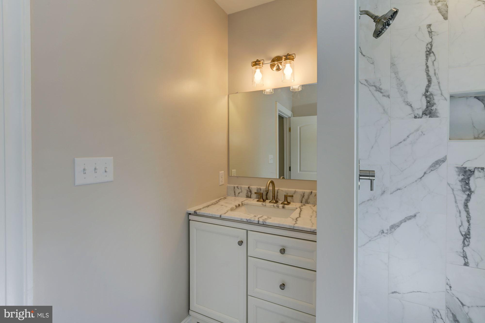 406 Hopkins Road Baltimore, MD 21212 - Photo 27 of 52 Large master bath