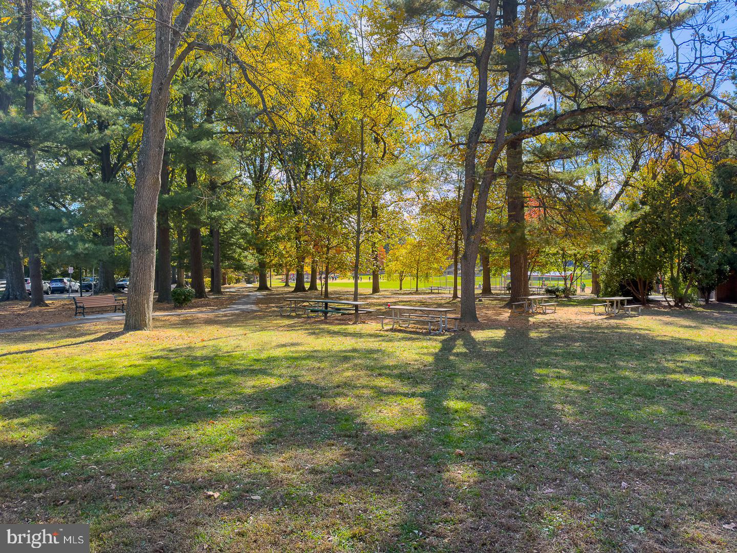 515 East Spring Avenue Ardmore, PA 19003 - Photo 46 of 46