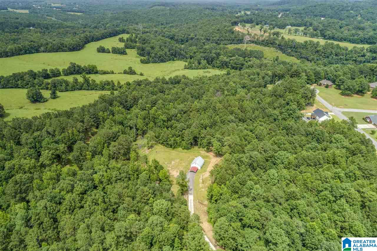 3851 Humber Road Dora, AL 35062 - Photo 7 of 35