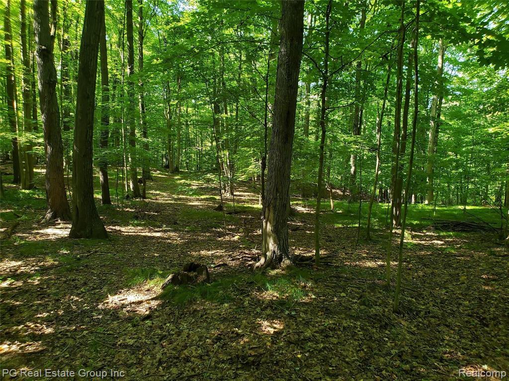 0 Charitoo Ridge Leonard, MI 48367 - Photo 21 of 34