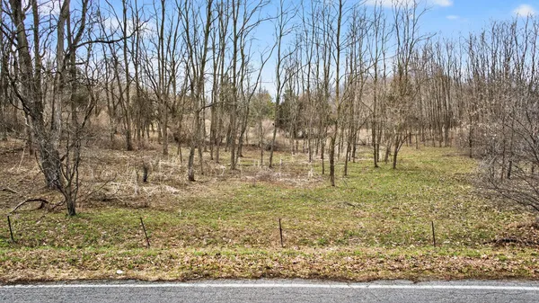 $115,000 | Vl-01 Skiff Lake Road, Clarklake, MI 49234