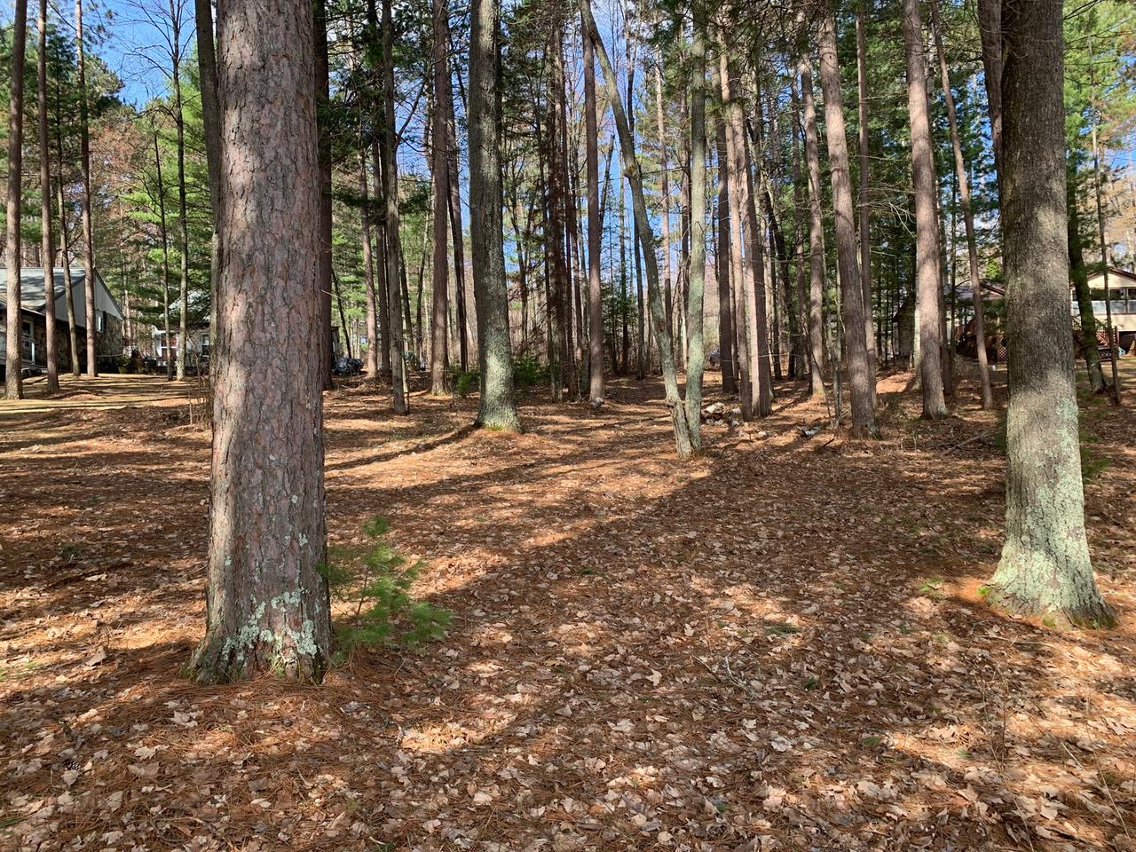 Lot 36 Deer Lake Road East Tomahawk, WI 54487 - Photo 2 of 8 Gallery Image 2