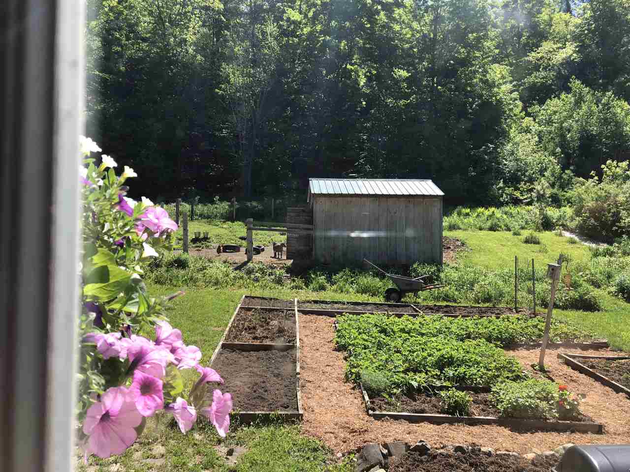 1172 West Hill Pond Road Cabot, VT 05658 - Photo 6 of 33