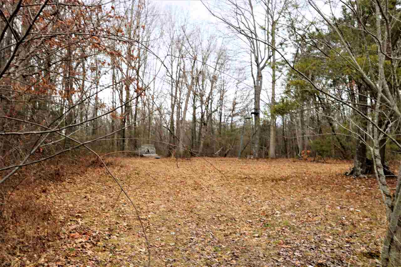799 Purple Cow Road Waynesboro, VA 22980 - Photo 6 of 31 a backyard of a house with large trees