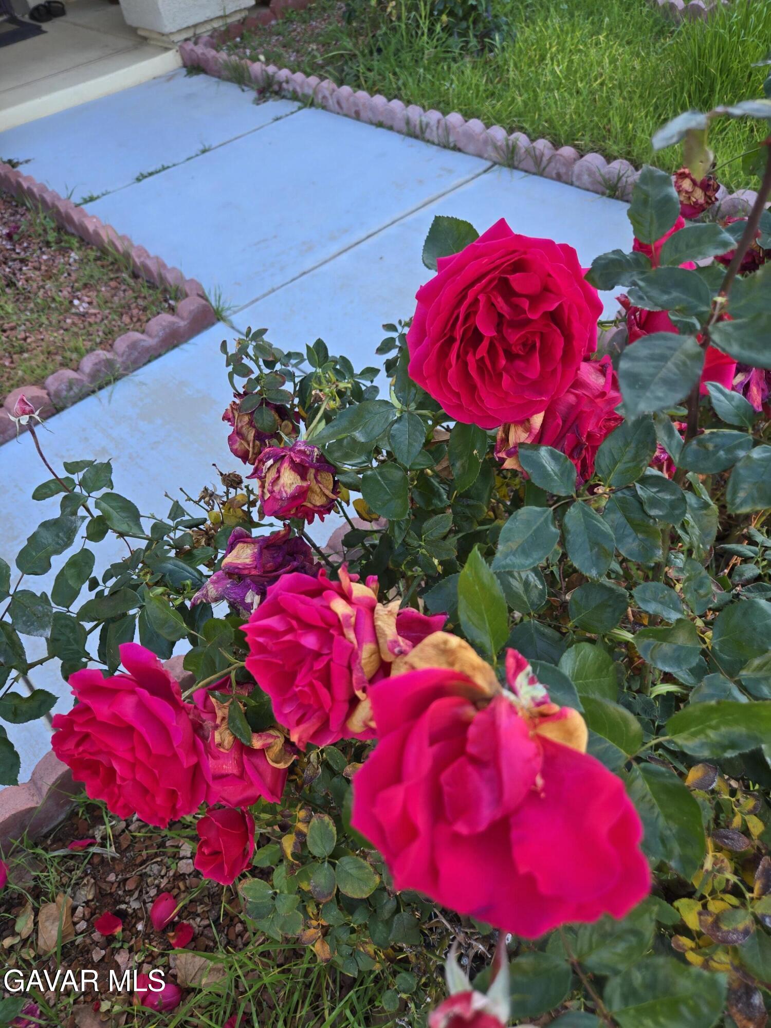 1314 Stanfill Road Palmdale, CA 93551 - Photo 10 of 13 Stansfill 6