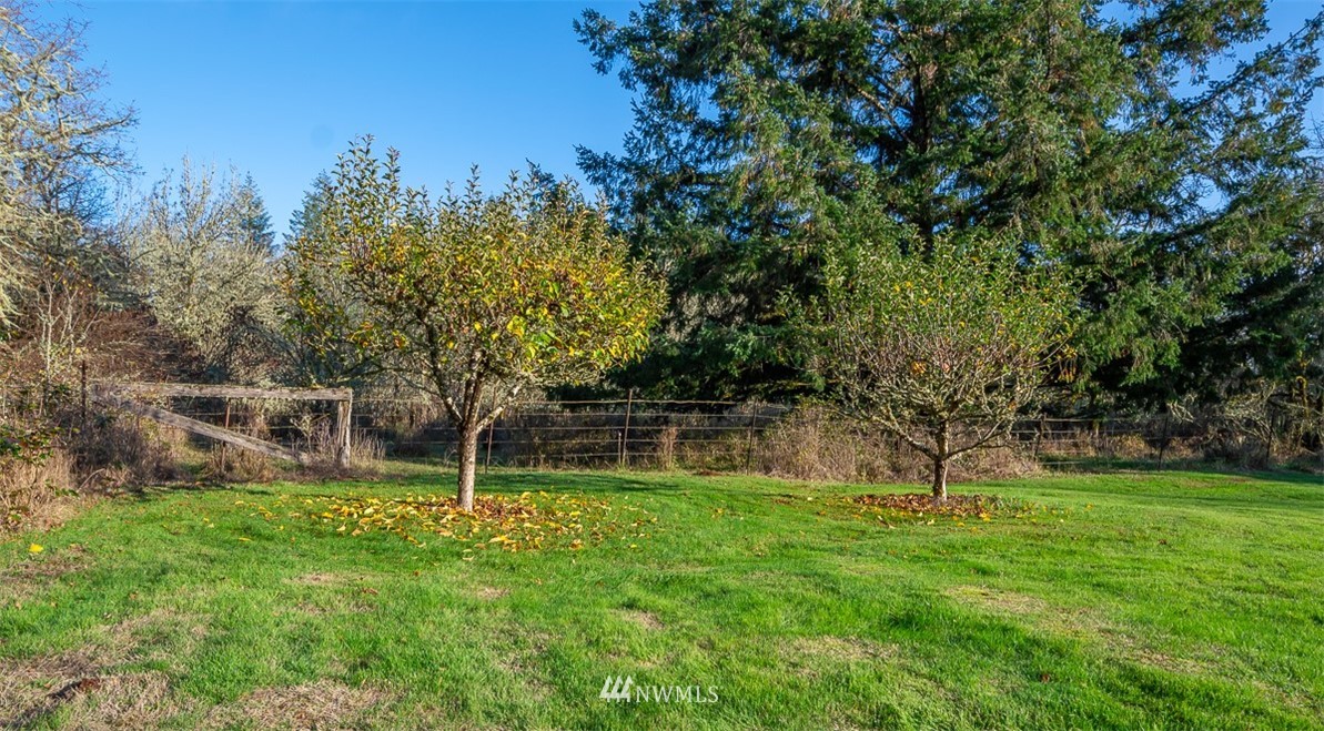 702 East Howe Road Toledo, WA 98591 - Photo 19 of 25