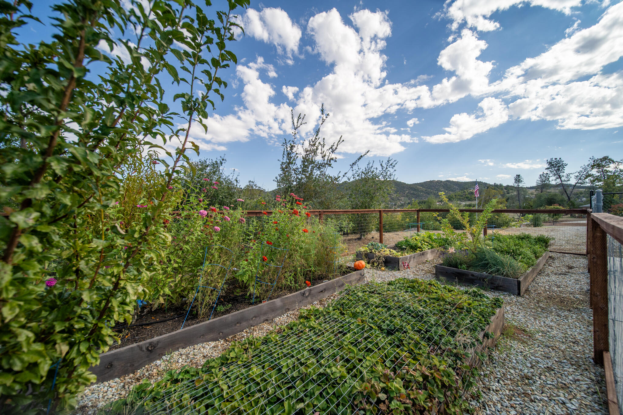 9976 Tilton Mine Road Redding, CA 96001 - Photo 36 of 44 Tilton-EXT-06