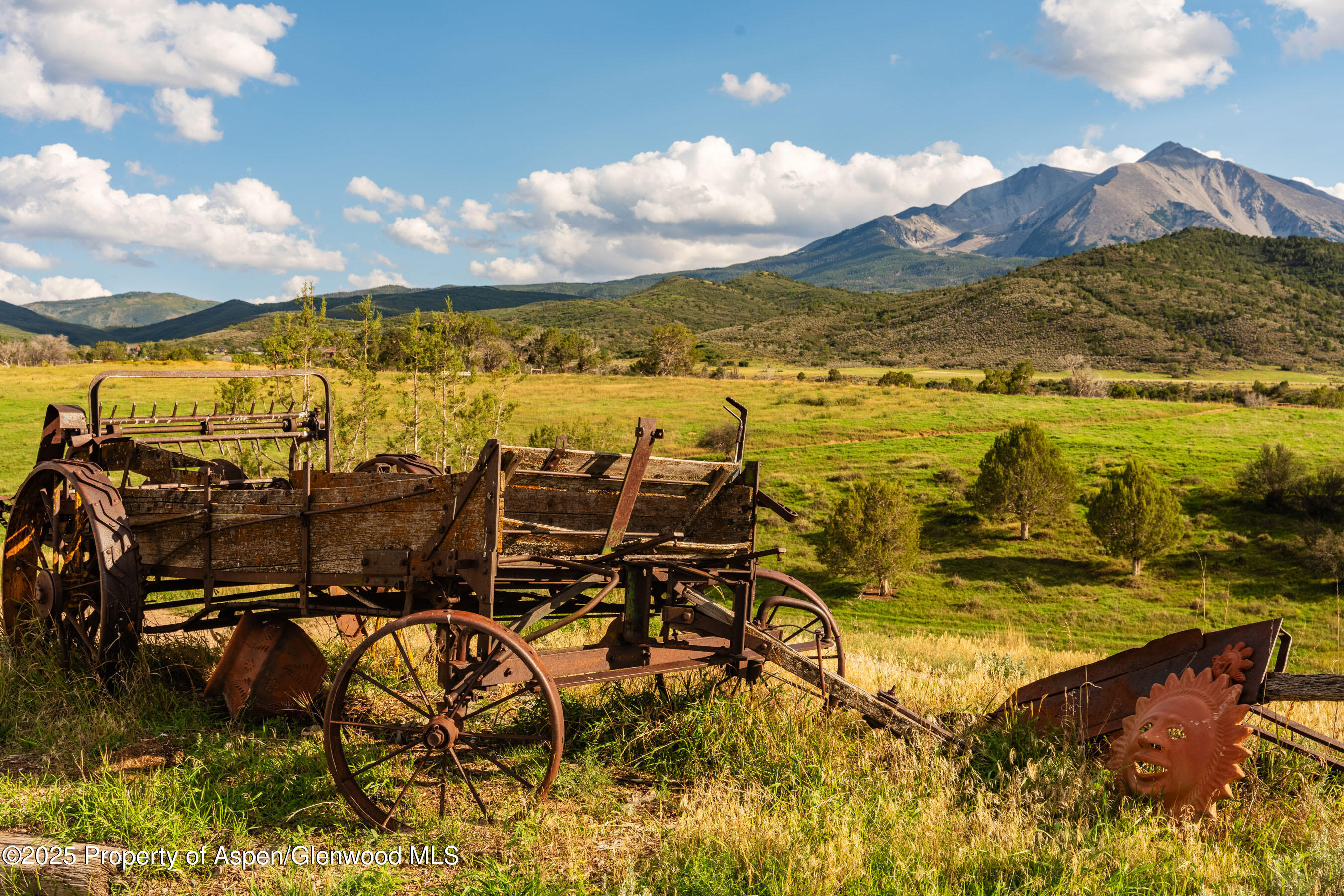 TurnaboutRanch_DASH81