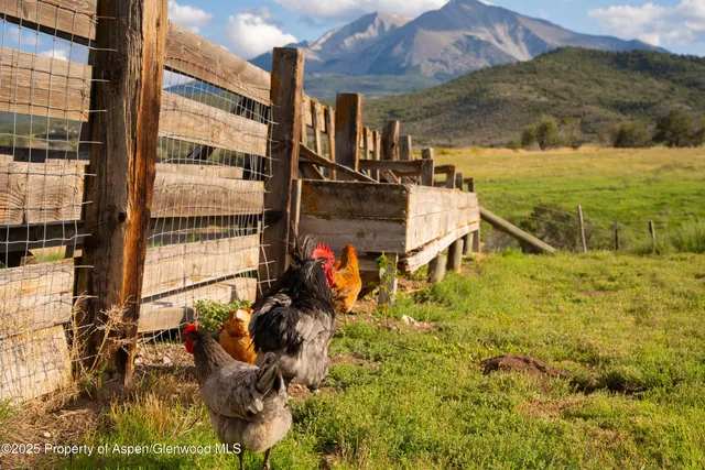 $22,500,000 | 1644 Prince Creek Road, Carbondale, CO 81623