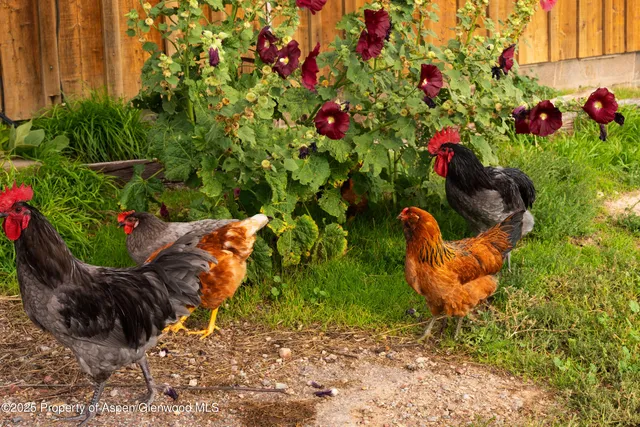 $22,500,000 | 1644 Prince Creek Road, Carbondale, CO 81623