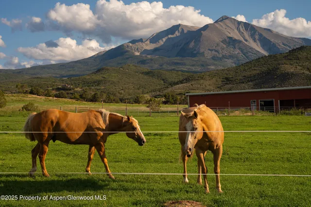 $22,500,000 | 1644 Prince Creek Road, Carbondale, CO 81623