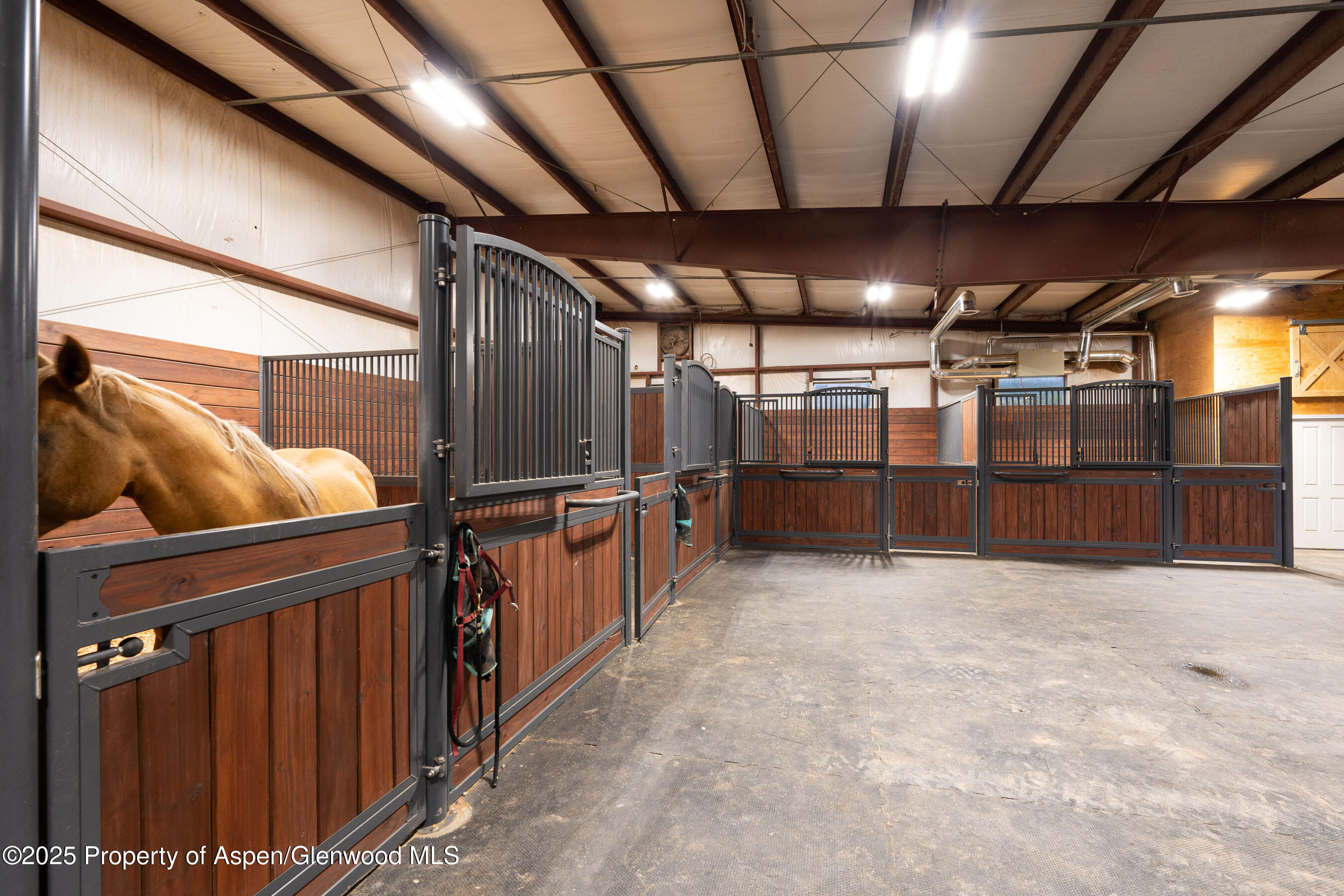 1644 Prince Creek Road Carbondale, CO 81623 - Photo 20 of 80 TurnaboutRanch_DASH163