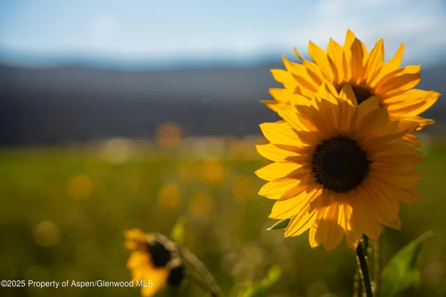 $22,500,000 | 1644 Prince Creek Road, Carbondale, CO 81623