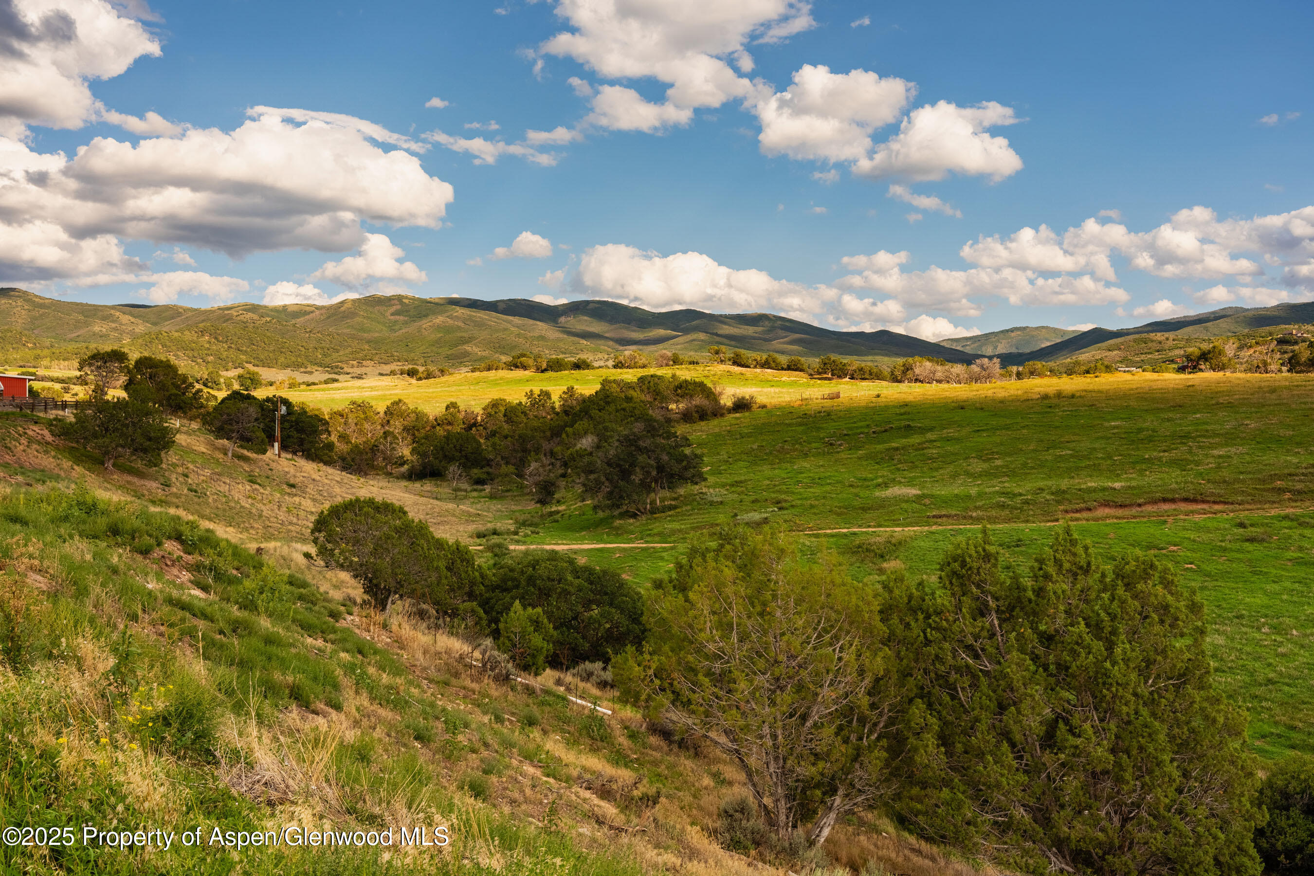 1644 Prince Creek Road Carbondale, CO 81623 - Photo 34 of 80 TurnaboutRanch_DASH85